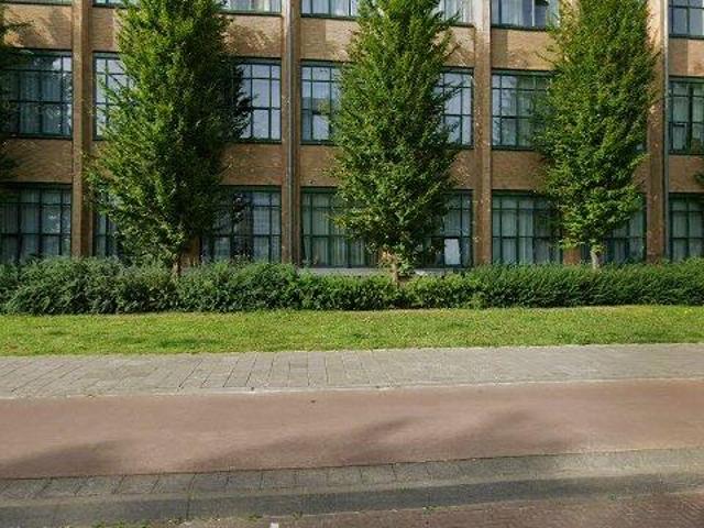 appartement for rent Eindhoven Kastanjelaan