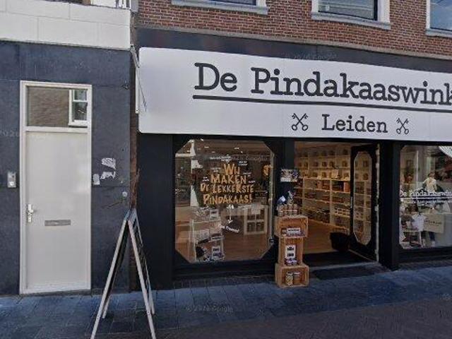appartement for rent Leiden Apothekersdijk