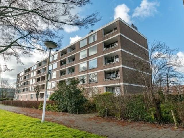 appartement for rent Leiden Paramaribostraat