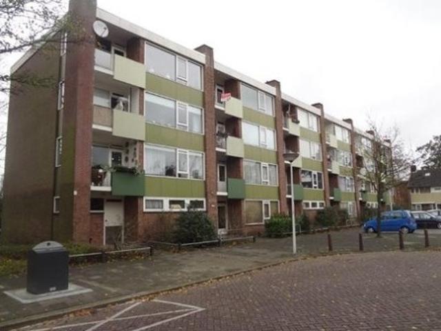 appartement for rent Leiden Van Banchemhof