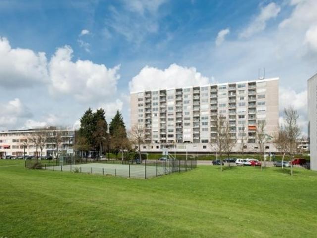 appartement for rent Rotterdam Buizenwerf