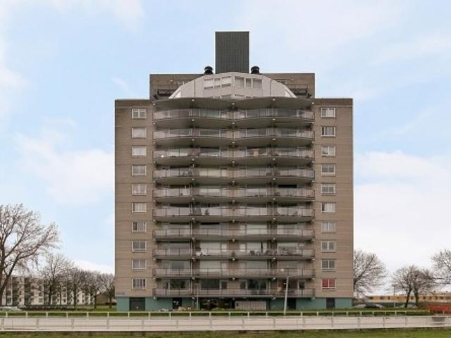 appartement for rent Rotterdam Den Uylsingel
