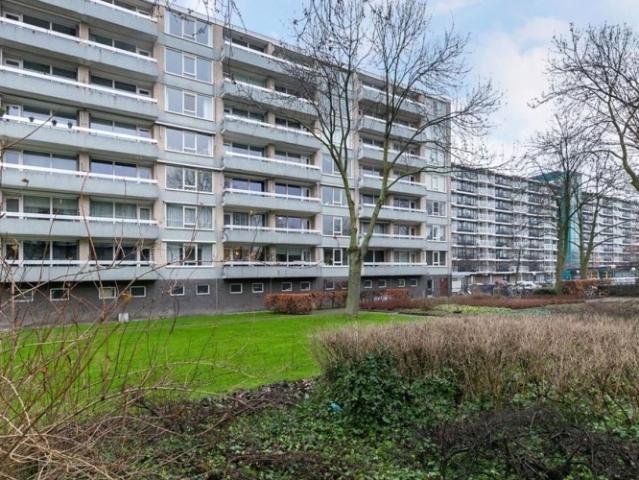 appartement for rent Rotterdam Everaertstraat