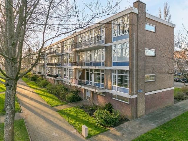 appartement for rent Rotterdam Schoonegge