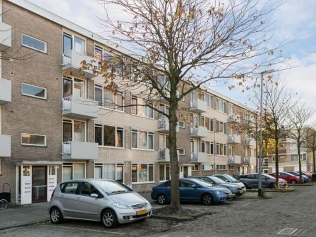 appartement for rent Rotterdam Stalpaertstraat