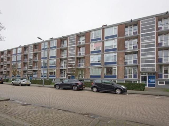 appartement for rent Rotterdam Vegelinsoord