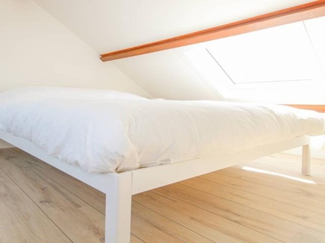 Appartement Franselaan in Rotterdam