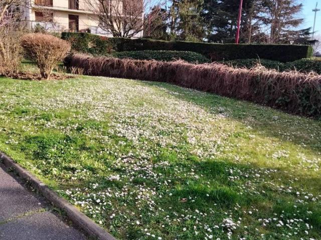 Appartement Fresnes 2 pièce s