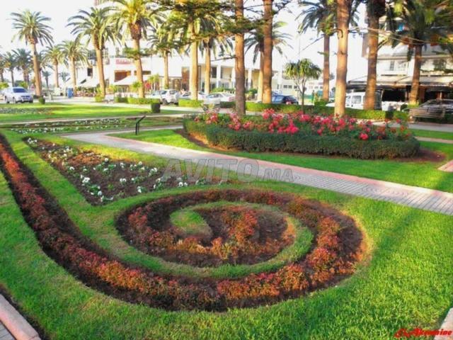 Appartement Garçonnière à vendre Le Parc Mohammedia