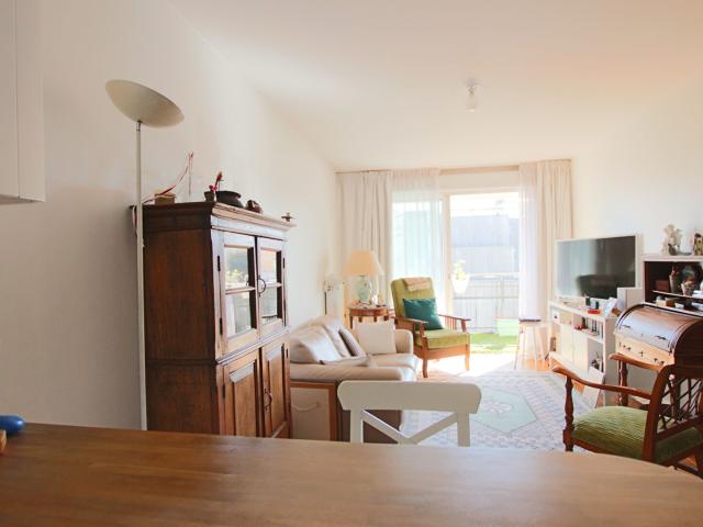 Appartement Gentilly 3 pièce s 55 m2 avec terrasse