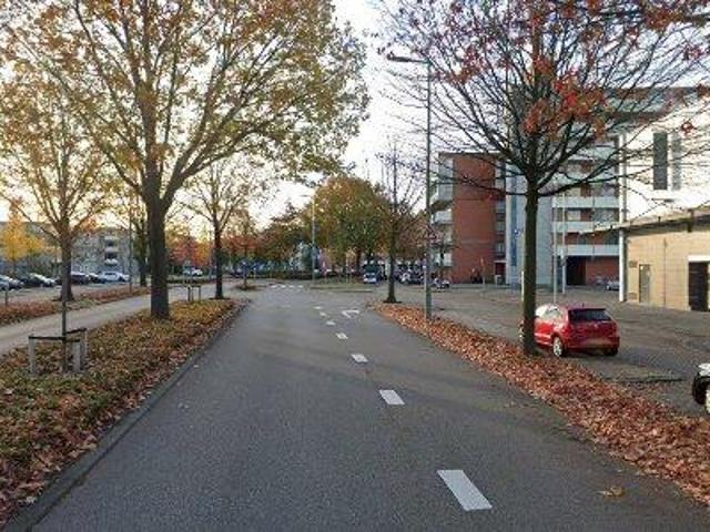 Appartement Grote Beer in Rotterdam