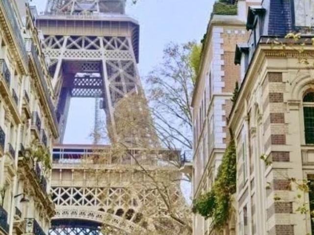 Appartement • Gros Caillou