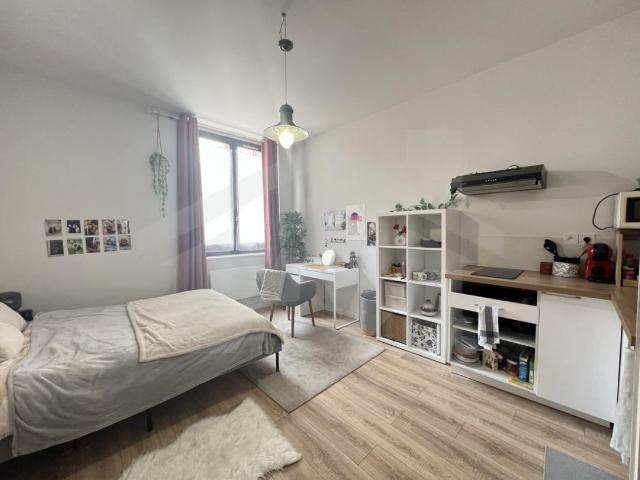 Appartement Grenoble, France