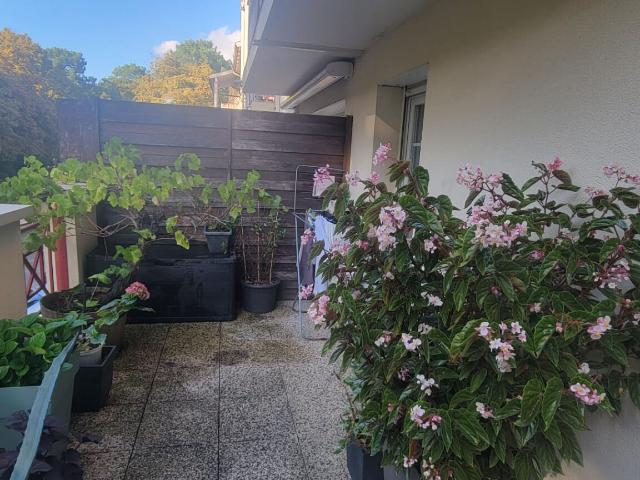 Appartement Gujan Mestras 3 pièce s