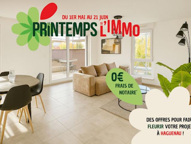 Appartement Haguenau 2 pièces HIKARI