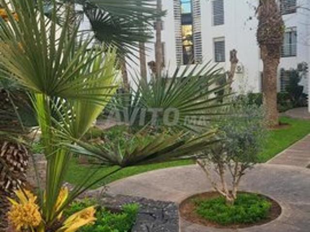 Appartement hay riad