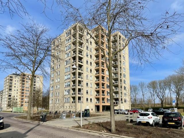 Appartement Hermelijnvlinder te huur in Diemen | NederWoon