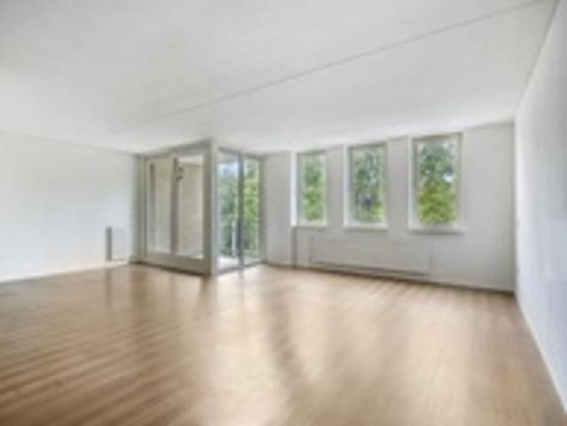 Appartement Hoge Boezem in Rotterdam
