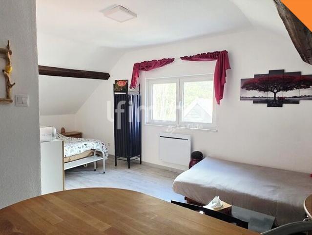 Appartement Hohwald proche Champ du feu – Nature et rentabilité