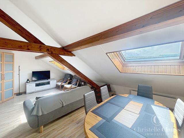 Appartement Huningue 2 pièce s 47 m2