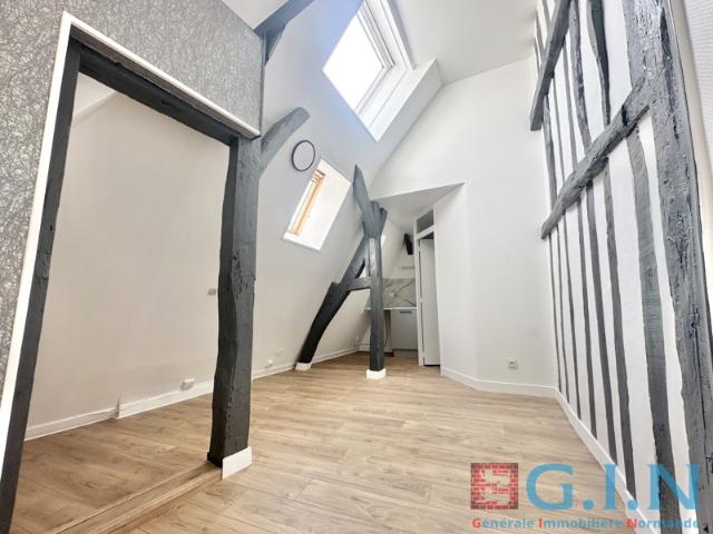 APPARTEMENT HYPER CENTRE RUE PIÉTONNE