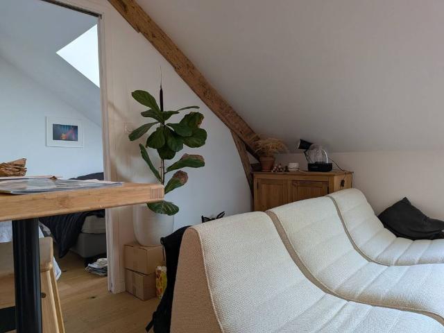 Appartement hypercentre Bouffay Decré Nantes meubl