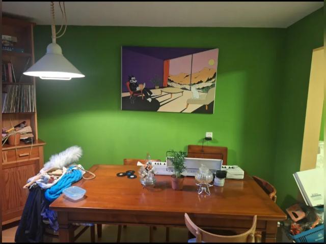 appartement in Utrecht, Arthur van Schendelstraat