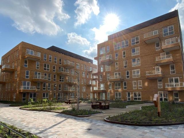 appartement in Zaandam, Mahoniehout