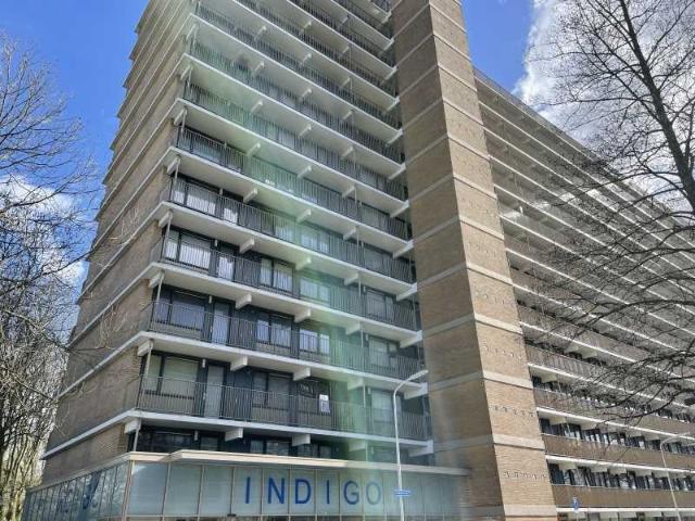 appartement in Zaandam, Indigostraat