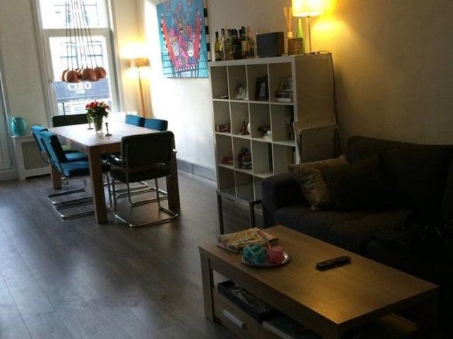 appartement in Amsterdam, Sarphatipark
