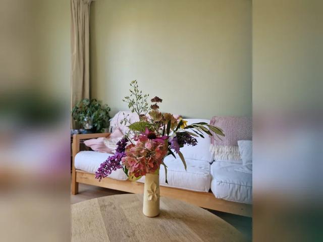 appartement in Amsterdam, Thérèse Schwartzeplein