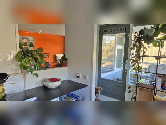 appartement in Arnhem, Mendelssohnlaan