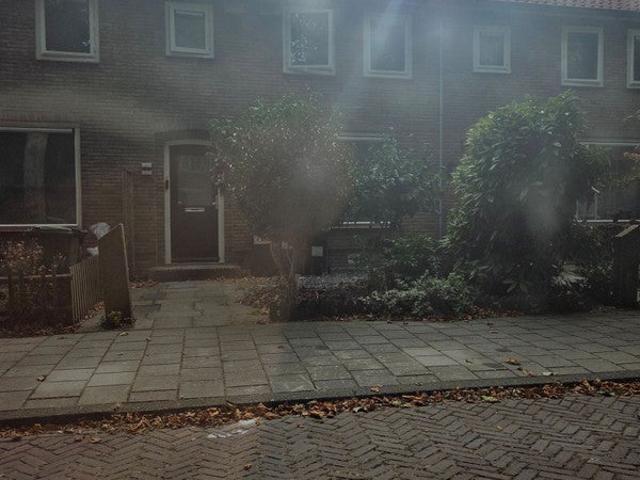 appartement in Badhoevedorp, Ibisstraat