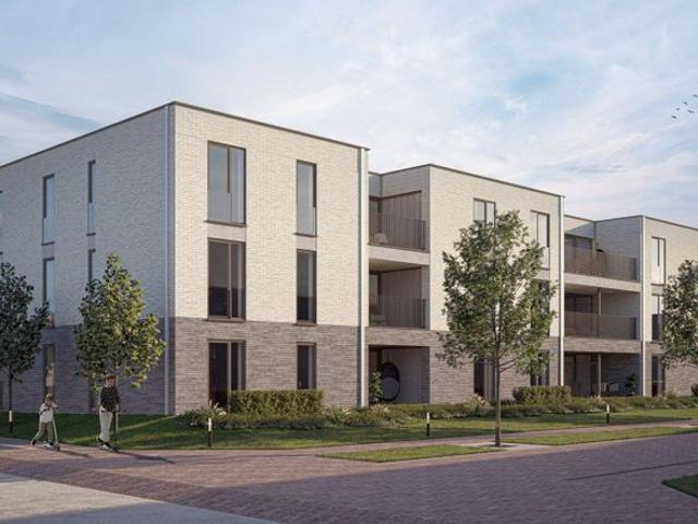 Appartement in Bilzen Bivelenhof: LOT 90 APP A1.05