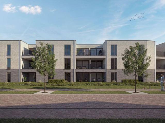 Appartement in Bilzen Bivelenhof: LOT 90 APP A2.05