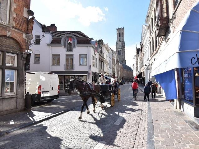 à vendre Appartement Bruges Kartuizerinnenstraat