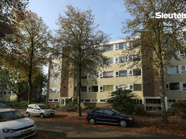 Appartement in Leiden