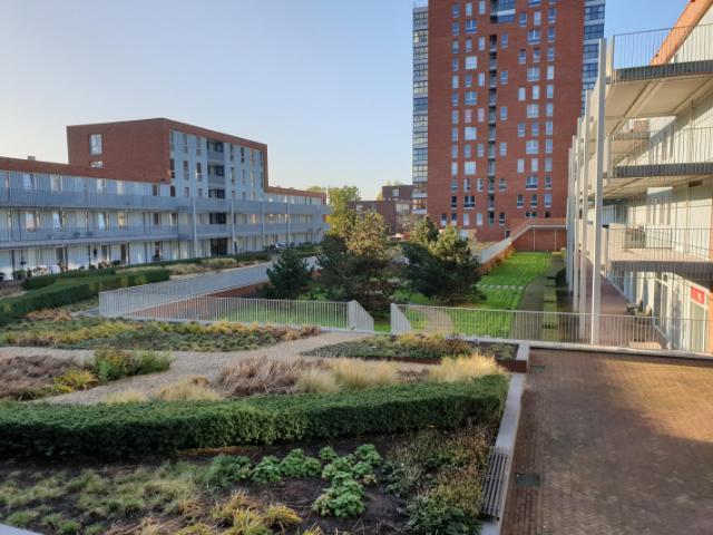 Appartement in Leiden