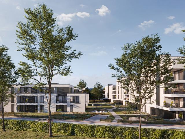 à vendre Appartement Maasmechelen