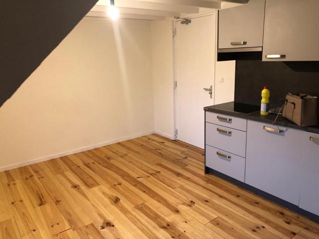appartement in Maastricht, Willem Vliegenstraat
