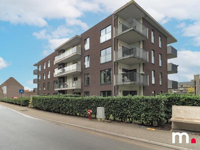 à vendre Appartement Audenarde Desiré Waelkensstraat