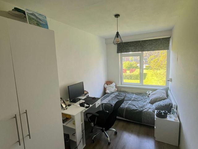 Kamer in Rotterdam