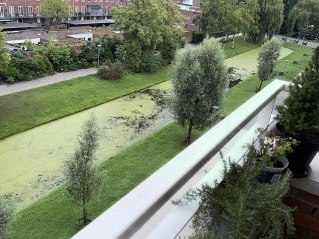 appartement in Rotterdam, Burghsluissingel