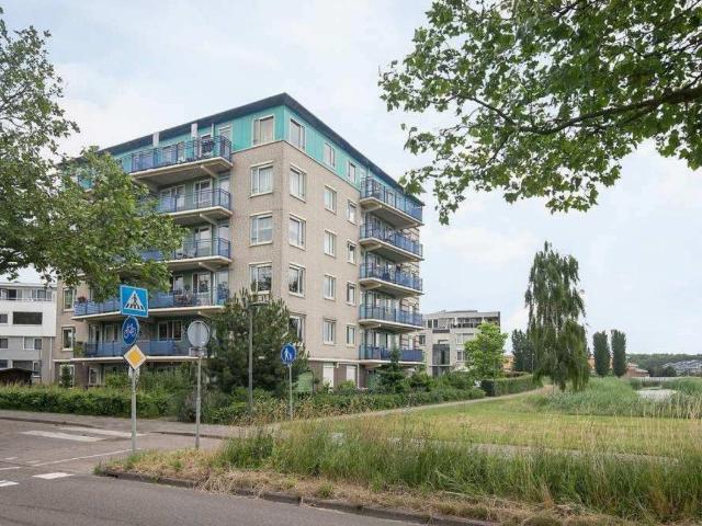 appartement in Schiedam, Lavendelveld