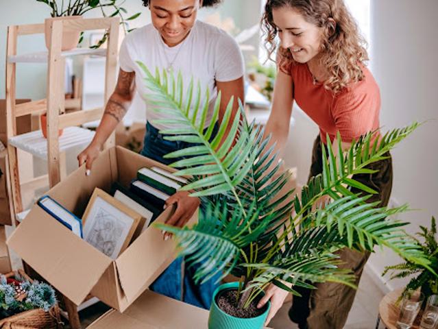 Appartement Le Taillan Médoc 3 pièces LES ECORCES