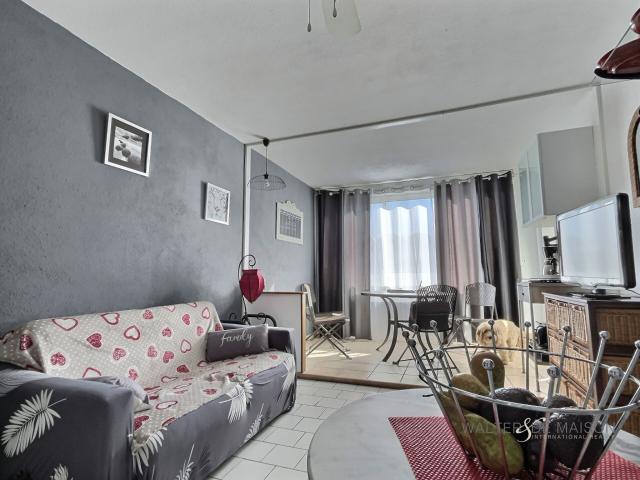 Appartement Le Grau Du Roi 2 pièce s 41 m2