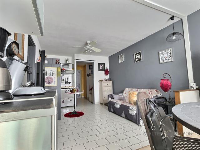 Appartement Le Grau Du Roi 2 pièce s 41 m2 41m² Le Grau du Roi