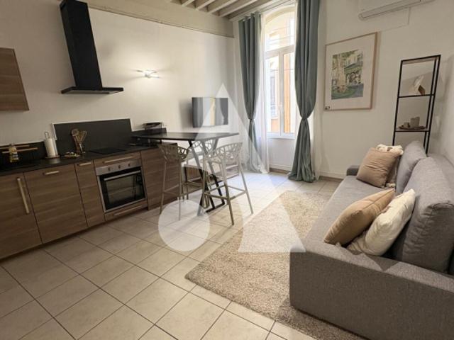 Appartement L'Isle Sur La Sorgue 1 chambre 35 m2