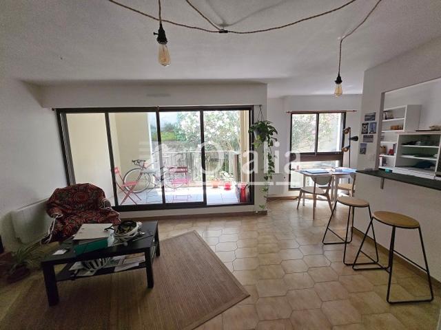 Appartement · Location