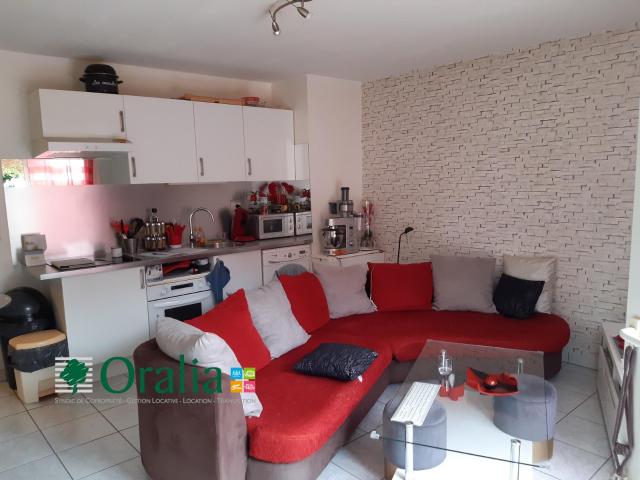 Appartement · Location